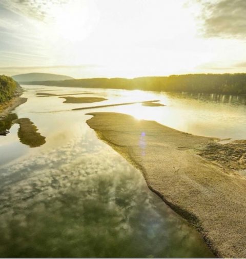 © Nationalpark DonauAuen